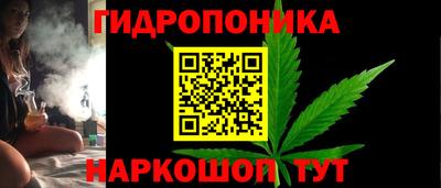эйфоретик Славгород