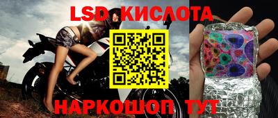 эйфоретик Славгород