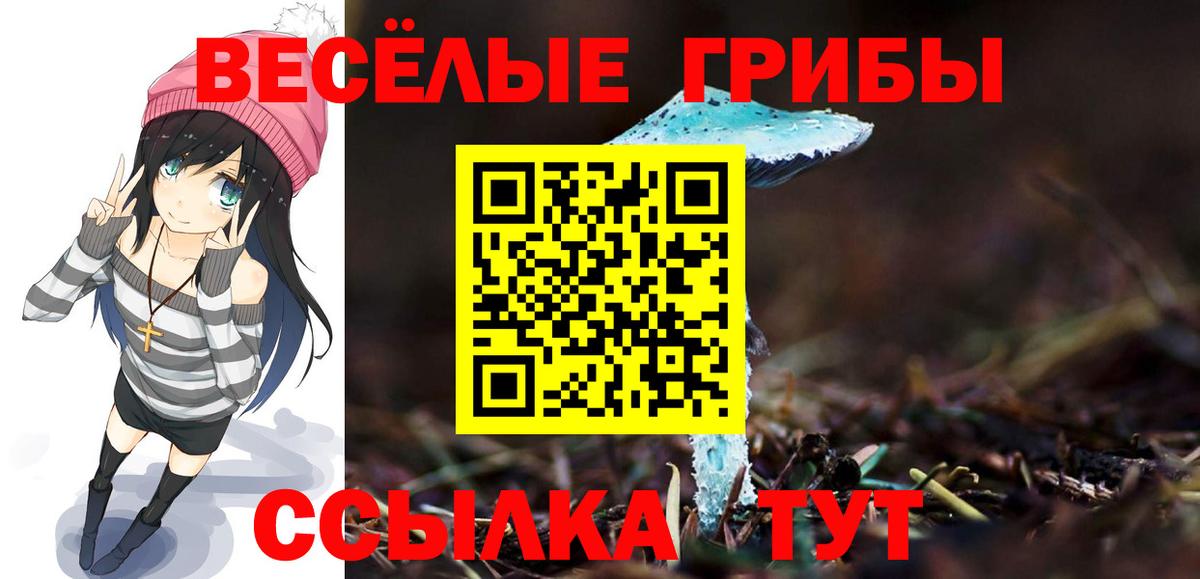 Псилоцибиновые грибы Cubensis  купить наркотики цена  Псилоцибиновые грибы ЛСД  Реж  Вход с VPN 